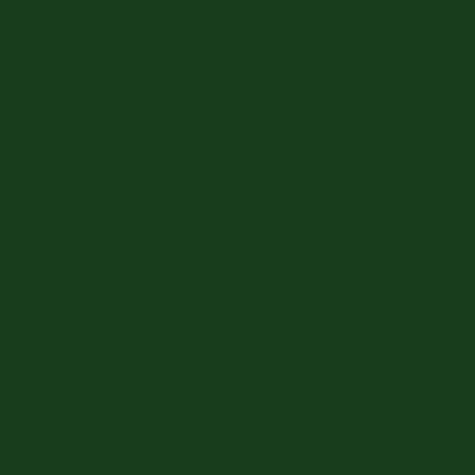 Derusto 12oz Hunter Green Touch 'n Tone All Purpose Spray Paint