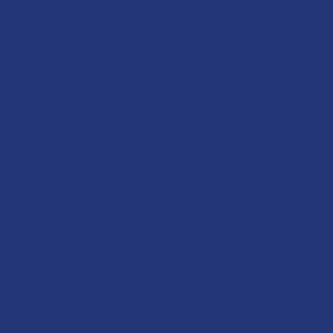 Derusto 12oz Royal Blue Touch 'n Tone All Purpose Spray Paint