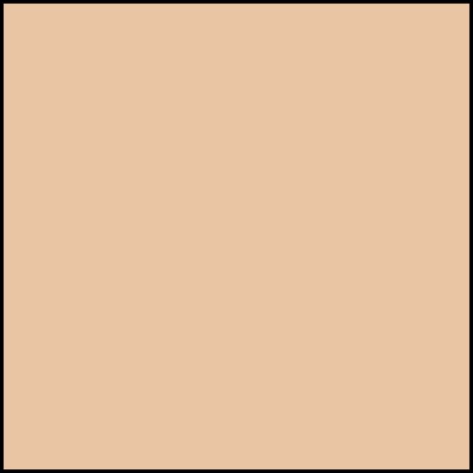 Famowood pt Birch Original Solvent Based Wood Filler