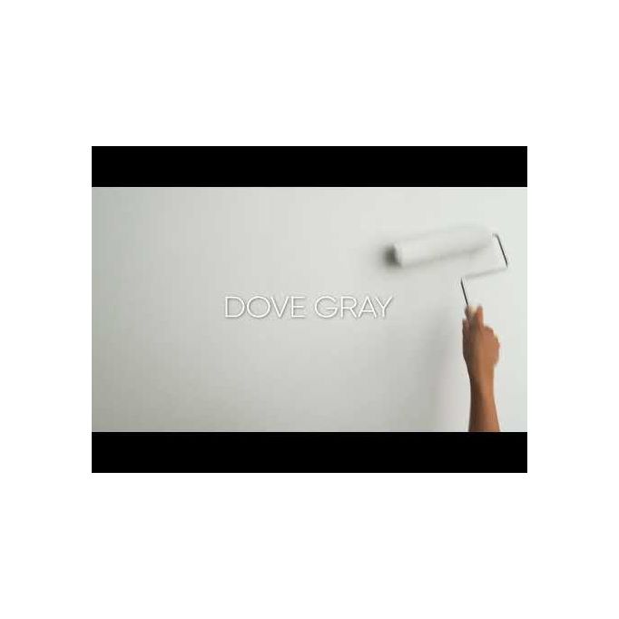 Rust-Oleum 1gal Dove Gray Eggshell SURE COLOR Interior Wall Paint