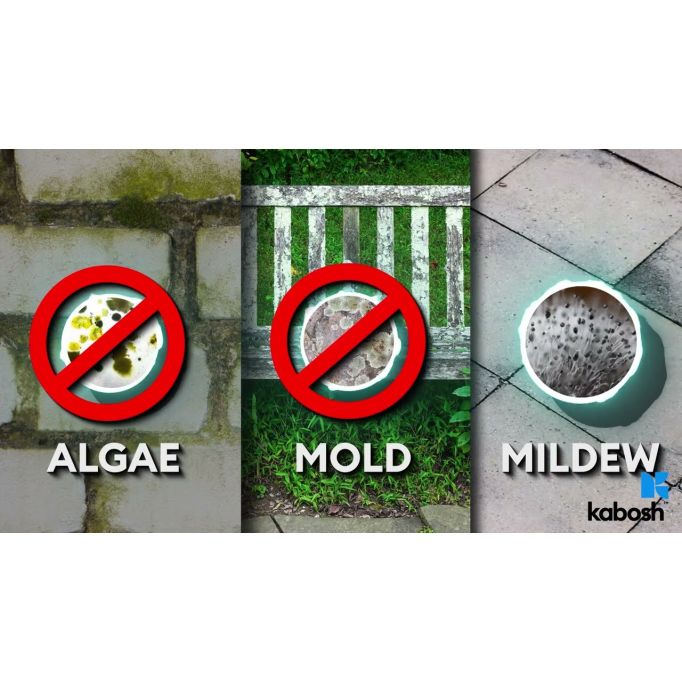 Kabosh 1gal Eco Guard Advanced Outdoor Cleaner