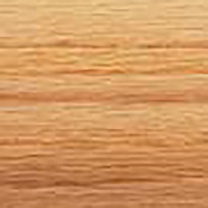 Old Masters .5Pt Pecan Gel Stain Classics
