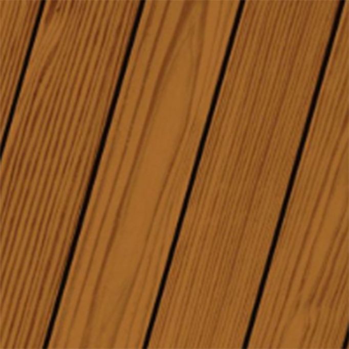 ProLuxe 1gal Teak SRD Wood Finish Transparent Matte (High Performance)