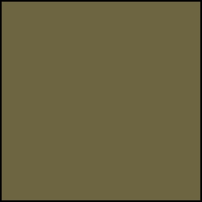 Rust-Oleum 12oz 2X Army Green Camouflage Specialty Spray Paint