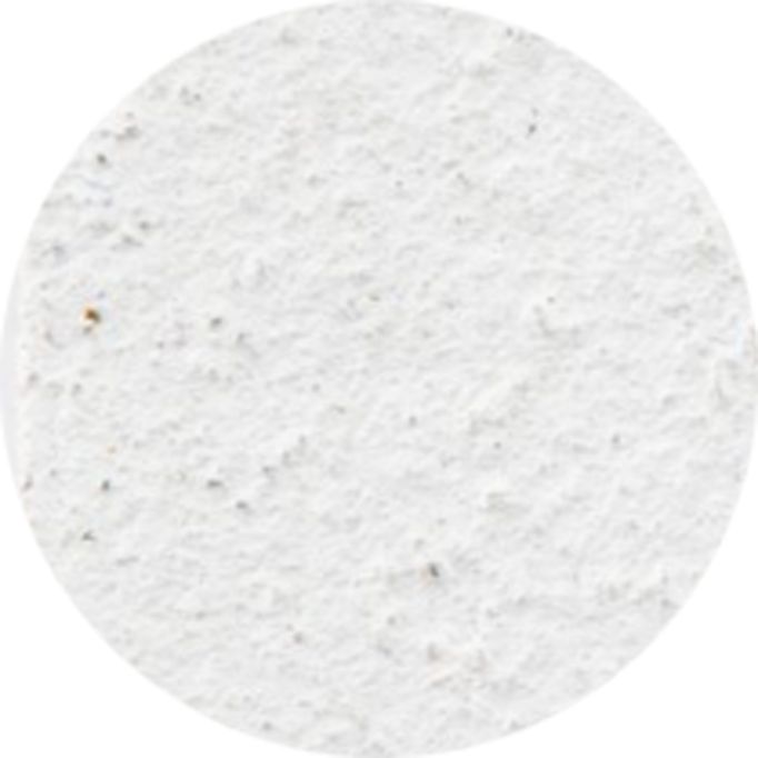 Sashco 10.5oz White Mor-Flexx Mortar & Stucco Repair Sealant