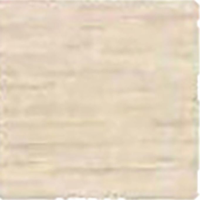 Wood Kote 12oz White Stain