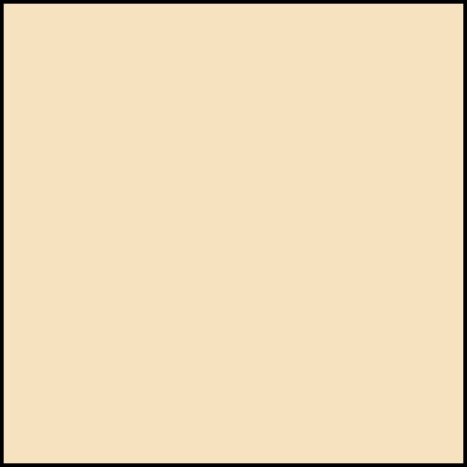Zar Pt Neutral 309 Wood Patch