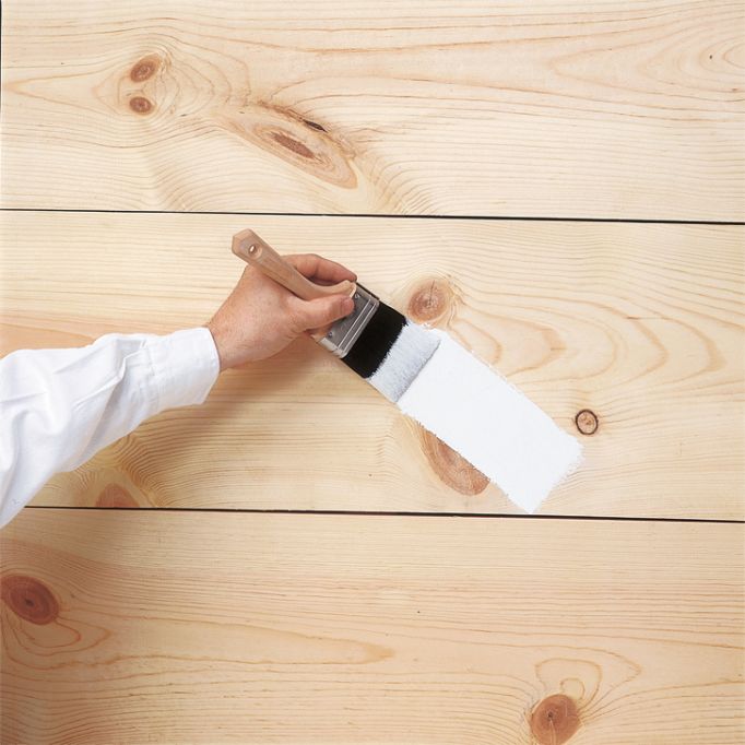 Zinsser B-I-N Primer & Sealers