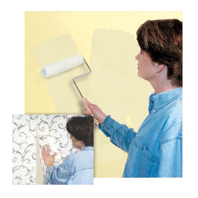 Zinsser Shieldz Clear Wall Size