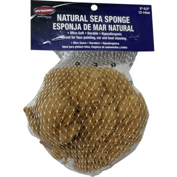 Dynamic 5"-5.5" (12-14cm) Natural Sea Sponge
