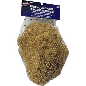 Dynamic 8"-9" (20-23cm) Natural Sea Sponge