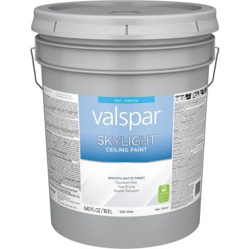 Valspar 5gal Flat Finish White Skylight Ceiling Paint