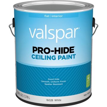 Valspar 1gal Flat Finish White Pro-Hide Ceiling Paint