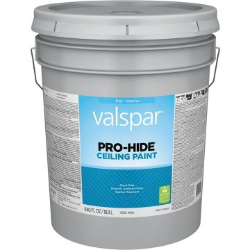 Valspar 5gal Flat Finish White Pro-Hide Ceiling Paint