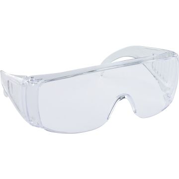 SAS Clear Lens Workers Bees Safety Glasses