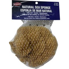 Dynamic 5"-5.5" (12-14cm) Natural Sea Sponge