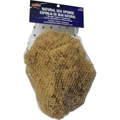 Dynamic 8"-9" (20-23cm) Natural Sea Sponge